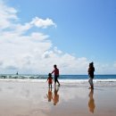 금수강산 이미지