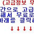 에스지네트 네이버블로그