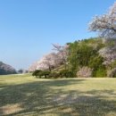 솔투어&골프