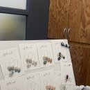 강남대로85길 21-6 이미지