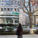 신흥지하차도 | 중국 대련] 2일차 - 사계장분, 홀리랜드, 파빌리온, 모어요거트, 신흥전승 오리구이, Aieat 마트, 빅유마트