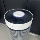 한국체대 인성 태권도장 이미지