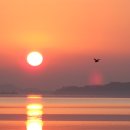 금강 - 용산구 만리재로36길 16-1 | 금강