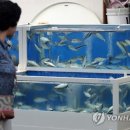 군산수족관 이미지