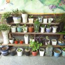 새재식당 이미지