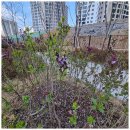 행운부동산중개사무소 이미지