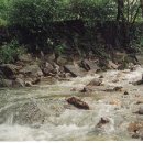 여울펜션 이미지