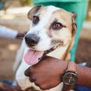 다올동물병원 이미지