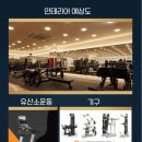 더라인 이미지