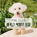 [7~초저] 우리는 가족 브런치 쉐프 (8월) | [키녹 블로그 체험단 모집] 카페 스니프에서 강아지와 함께하는 여름 브런치 데이트하자!🌞