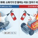 주식회사티에스비엠
