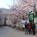 북산면 행정복지센터 이미지