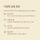 정수A목장 | 햄버거병 증상, 원인부터 예방법까지 꼭 알아야 할 정보"