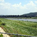 연천학곡리적석총 이미지