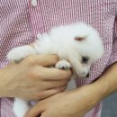 완전좋아 이미지