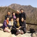 금천초교 이미지