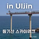 등기산스카이워크 | 경북 울진 여행 갈만한곳 등기산 스카이워크 입장료 주차장 꿀팁