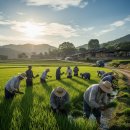 생명의근원Ⅱ 이미지