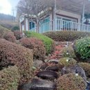 또또펜션 이미지