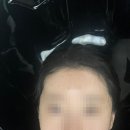 (주)한솔 에스에이치팩 | 대치동미용실 무이(mui) 한솔디자이너한테 크리닉 받고 온 후기