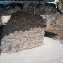 당산할머니경로당 이미지