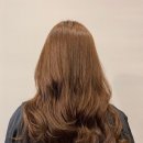 리안헤어 이미지