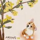 생각나무