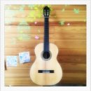 왕초보 클래식기타 이미지