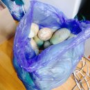 순덕이네 이미지