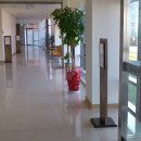 대천리조트 이미지