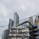 메이플(생활형) 이미지