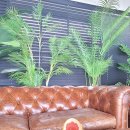 오션어클락 이미지