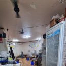 고창집 | 청량리 골목맛집 고창집 솔직후기 제육볶음+차돌된장