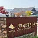 경주 플래시백 계림 | 몰입감 가득했던 리얼 후기