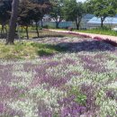 지리산허브벨리 이미지