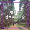 팔영산편백치유의숲일반동 | 고흥 가볼만한곳 편백나무 우거진 팔영산 편백치유의숲