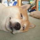 와라
