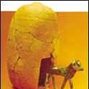 금송아지 이미지