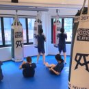 TBG 복싱&MMA 이미지