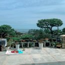 평화셀프주유소 이미지