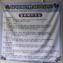 청수농장 | 양평 양수리 싱싱한 블루베리 농장 청수농원 후기 (블루베리 묘목 판매 및 효능; 갑산공원 입구에 위치)