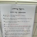 스테이소솜 이미지