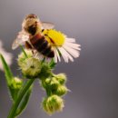 비온후풍경 이미지