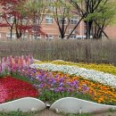 장자호수길 이미지