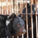 곰두마리농장 이미지