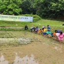 초막골생태공원 이미지