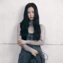분크 이미지