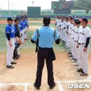 세종제1야구장 이미지