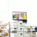 대구광역시 중구정신건강복지센터 이미지