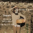 데스파시오 이미지